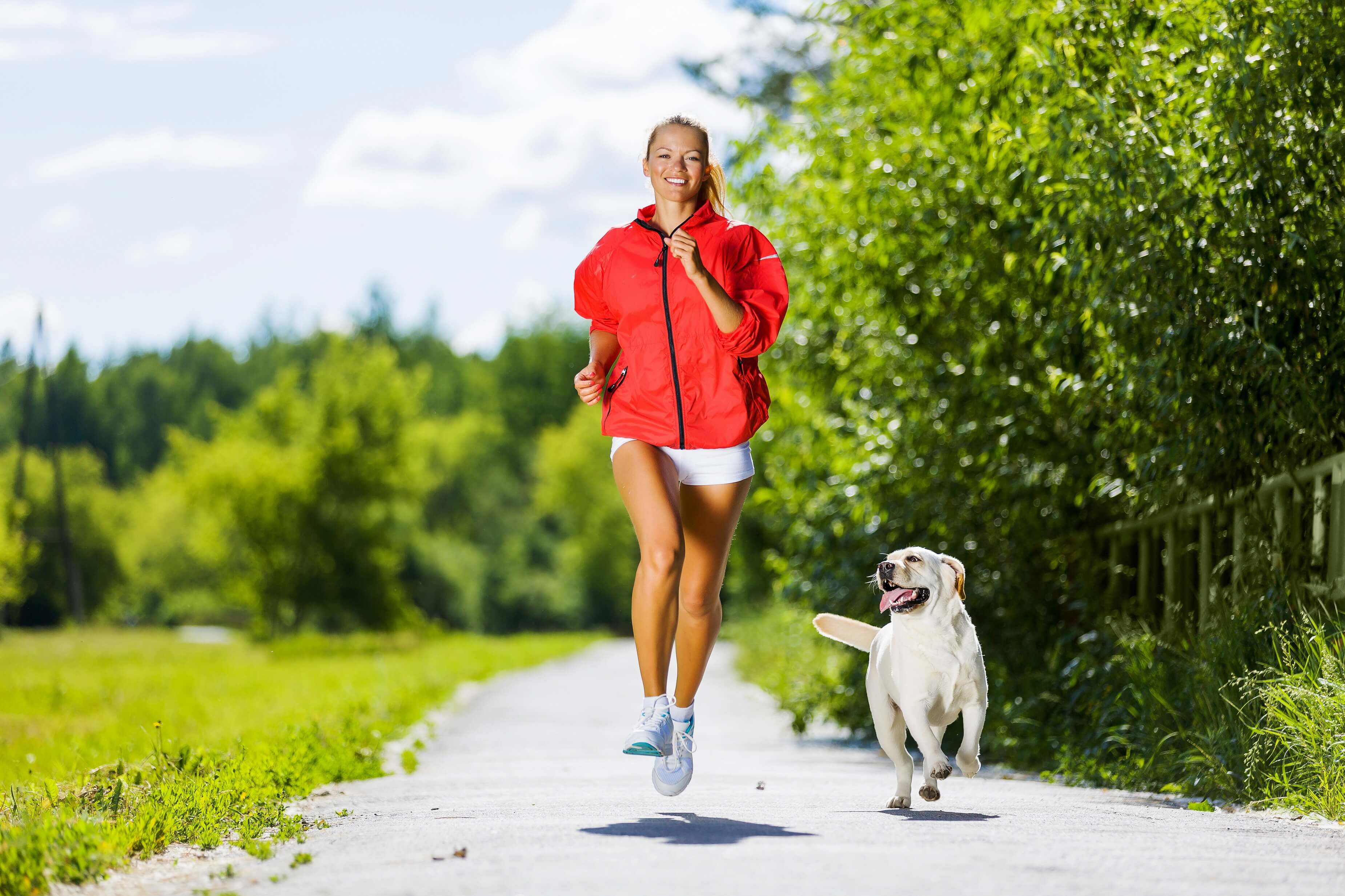 dog-app-pets-training-and-boarding