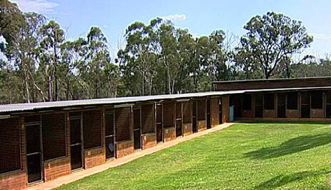 Dog Kennels