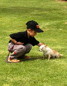 Dog Training Child
