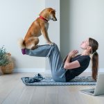 Shiba inu training sydney pet resort